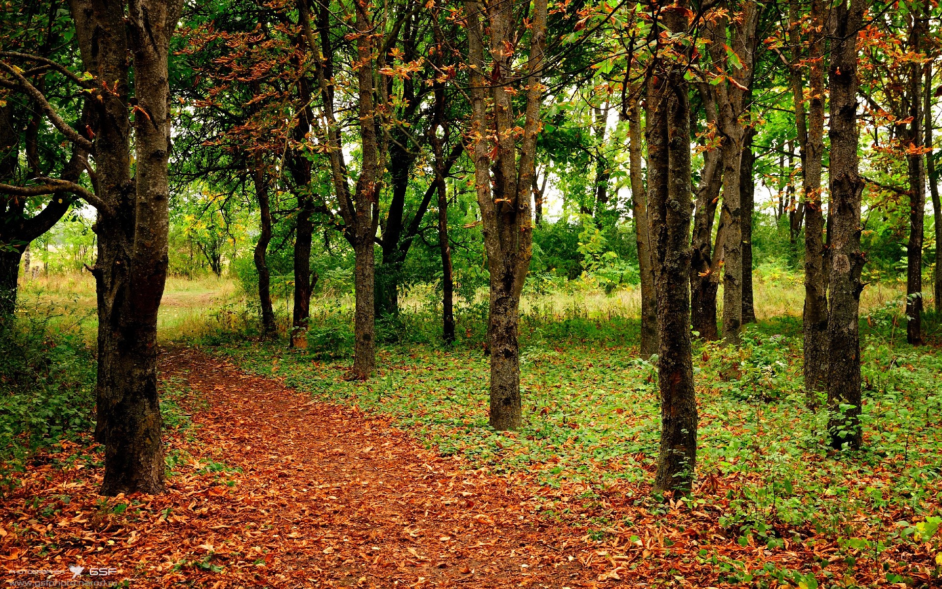 欧冠淘汰赛之夜，克莱绝杀救主，成胜负手引爆足坛热议